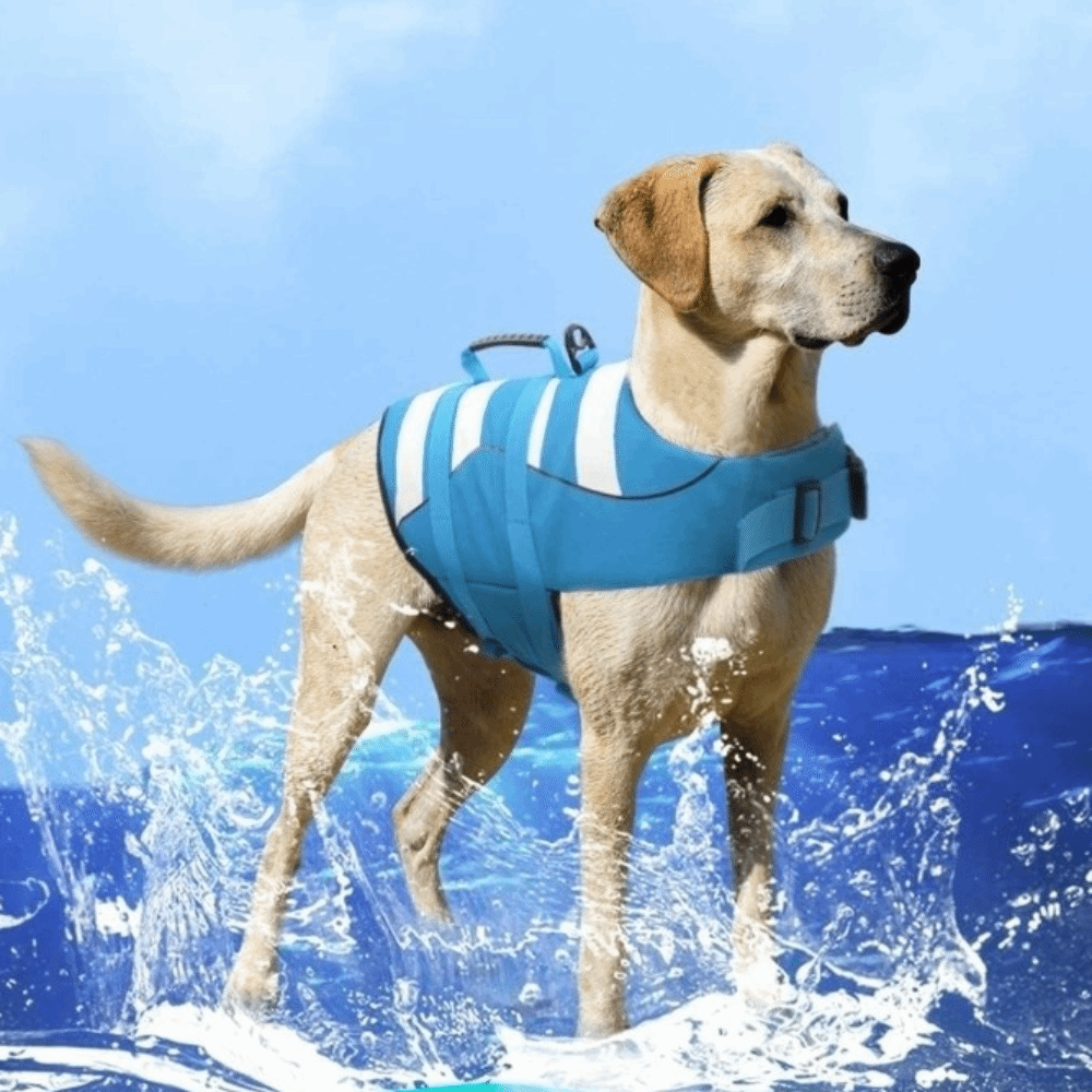 Dog Life Jacket Vest Buoyancy Handle - Reflecterend hondenreddingsvest Superieur drijfvermogen Ademend reddingsvest