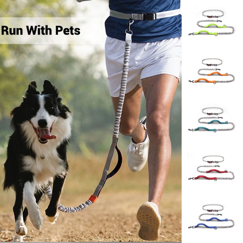 Bungee Dog Leash Shock Absorbing - Reflecterende bungee-hondenriem voor hardlopen Handsfree verstelbare