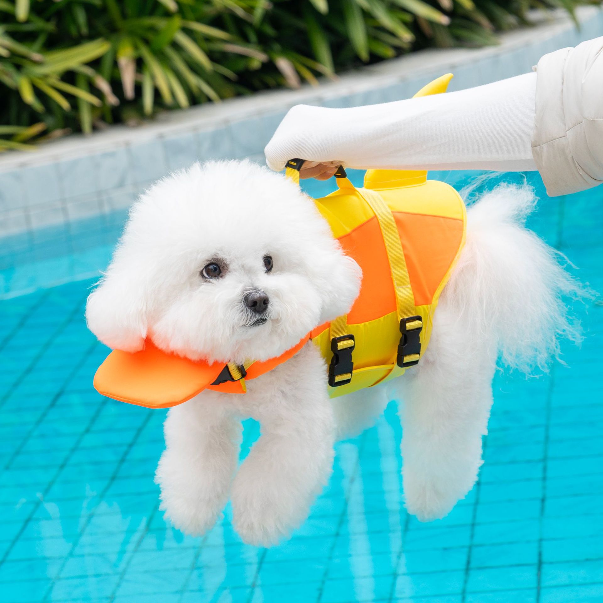 Dog Life Jacket Vest Buoyancy Handle - Schattig haaienvormig hondenreddingsvest met reddingshandvat, superieur