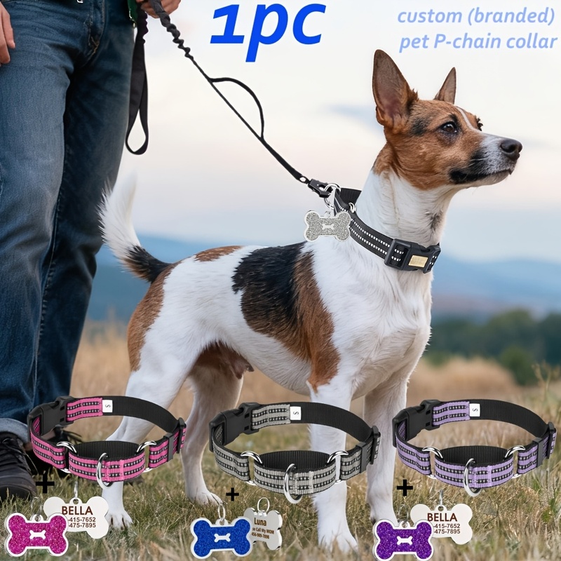 Reflective Dog Collar Personalized Engraved - Gepersonaliseerde reflecterende hondenhalsbandset met gegraveerde glitter