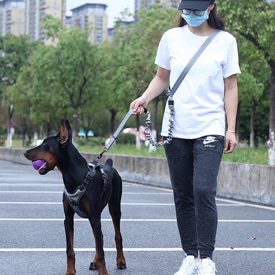 Hands Free Dog Running Leash Waist Belt - Handvrije hondenriem voor het wandelen, rennen