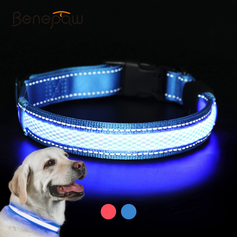 Led Dog Collar Glowing Rechargeable Usb - Benepaw LED-halsband USB oplaadbaar Comfortabel reflecterend