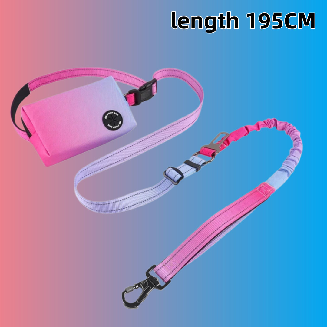Bungee Dog Leash Shock Absorbing - Gradientkleurige handsfree hondenriem met snackzak, schokabsorberende