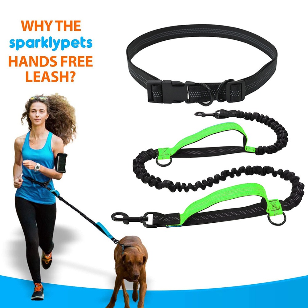 Bungee Dog Leash Shock Absorbing - Handsfree hondenriem, reflecterende elastische riem voor