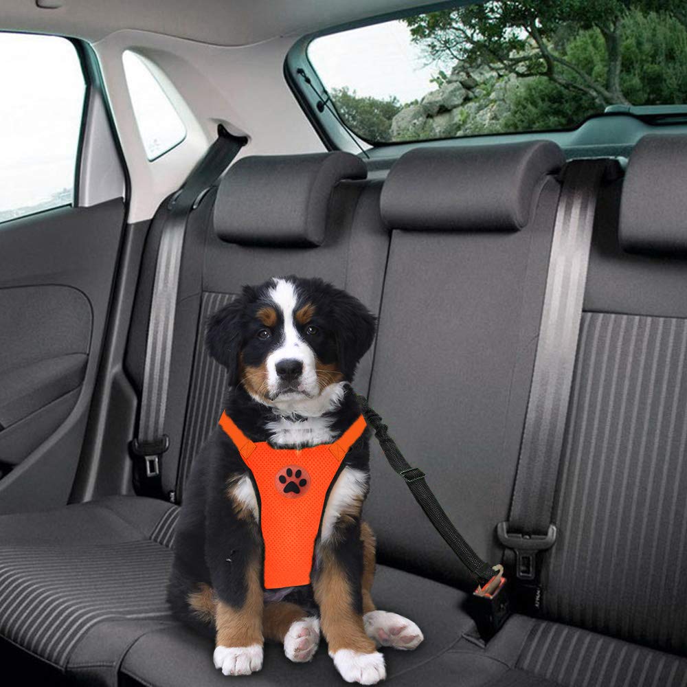 Dog Seat Belt Harness Safety Tether - Hond Auto Harnas Veiligheidsgordel Set, hond
