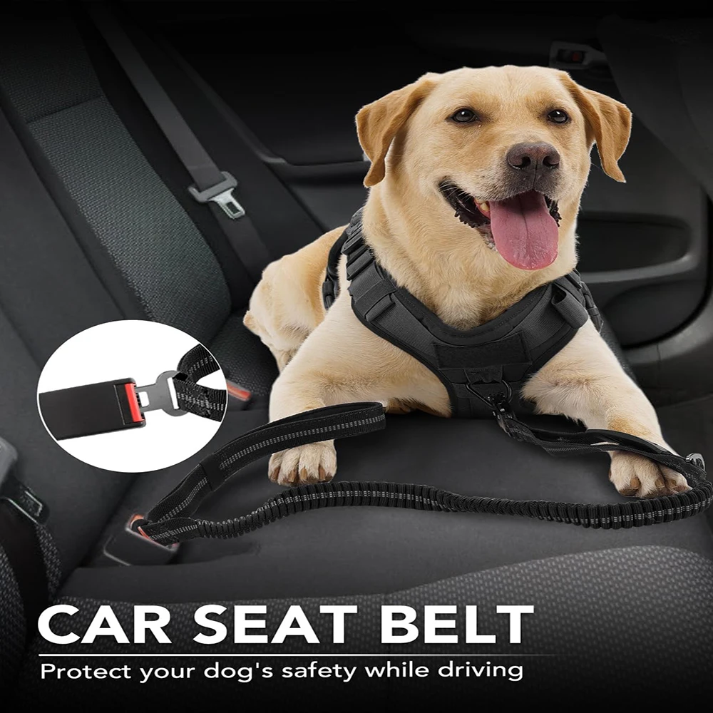 Geen Pull Hondenriem Reflecter - Bungee Dog Leash Shock Absorbing recensie en prijs