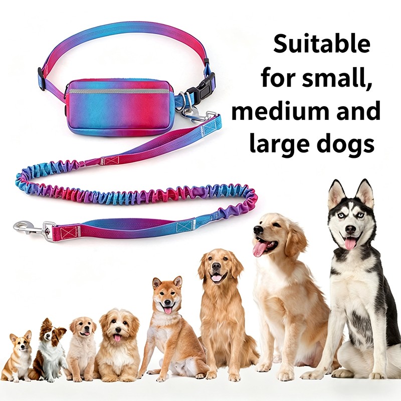 Hondenriem met elasticiteit, h - Hands Free Dog Running Leash Waist Belt recensie en prijs