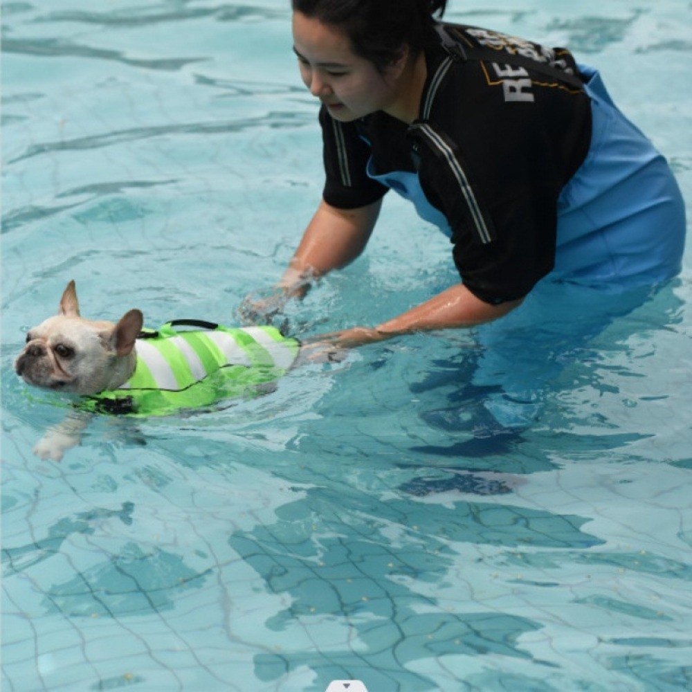 Reflecterend hondenreddingsves - Dog Life Jacket Vest Buoyancy Handle recensie en prijs