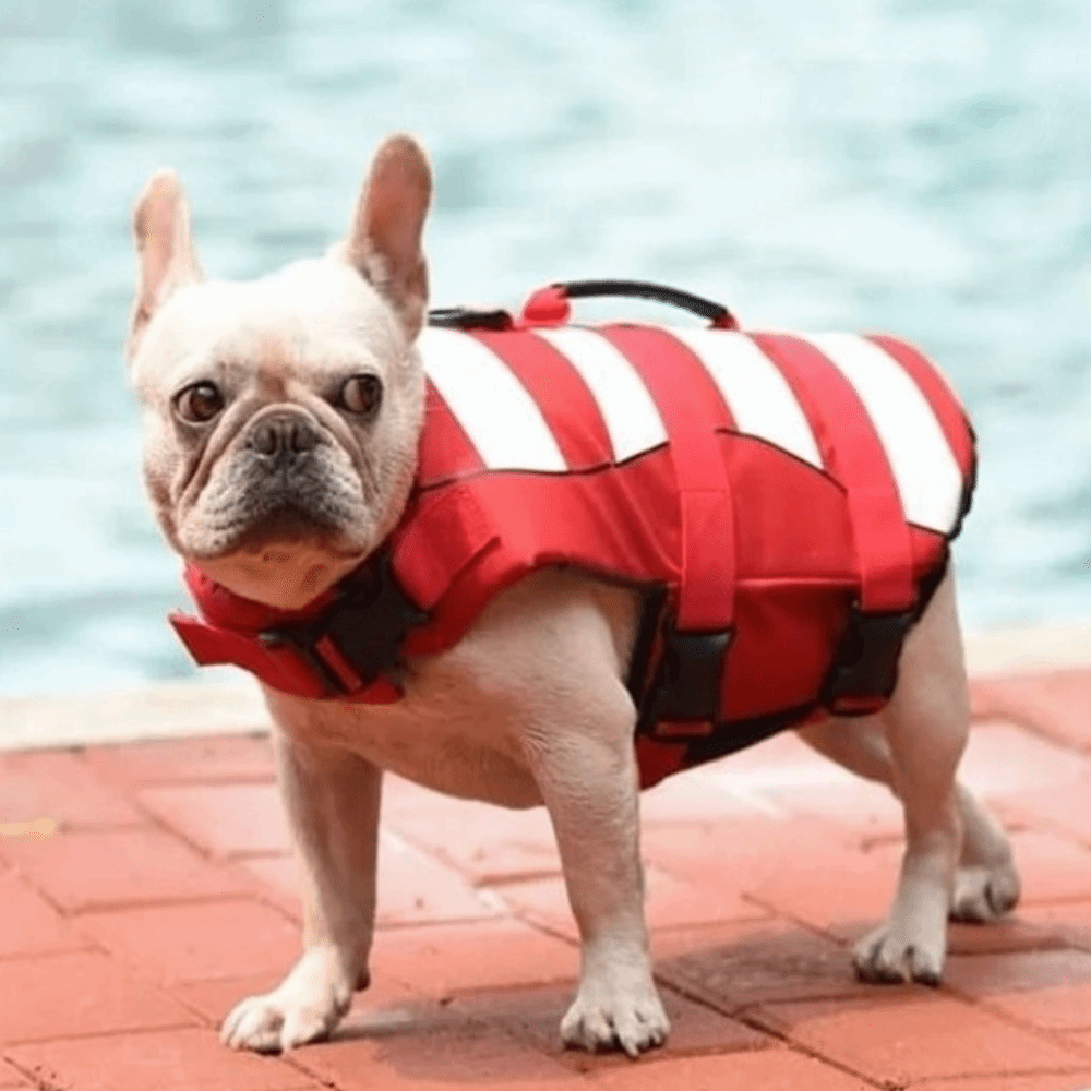 Reflecterend hondenreddingsves - Dog Life Jacket Vest Buoyancy Handle recensie en prijs