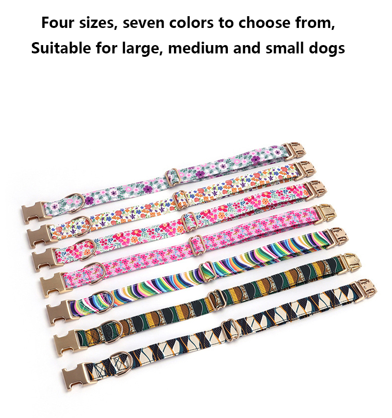 Gegraveerde halsband met riem  - Reflective Dog Collar Personalized Engraved recensie en prijs