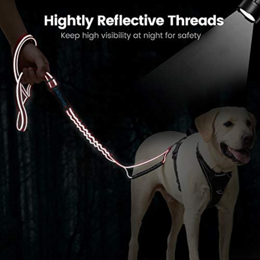 6Ft/4Ft hondenriem voor grote  - Heavy Duty Dog Leash Rope 6Ft Padded recensie en prijs