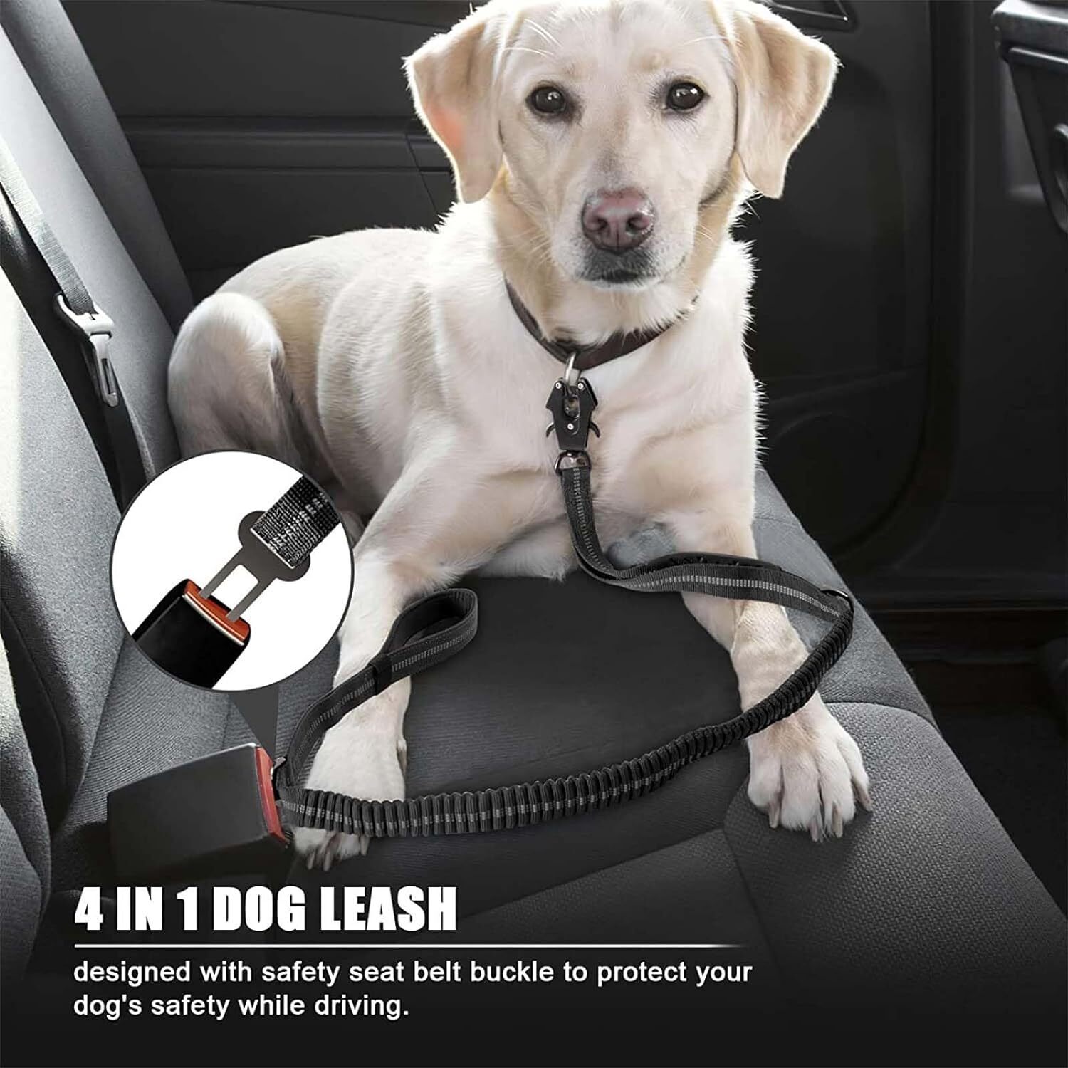 Reflecterende schokabsorberend - Bungee Dog Leash Shock Absorbing recensie en prijs
