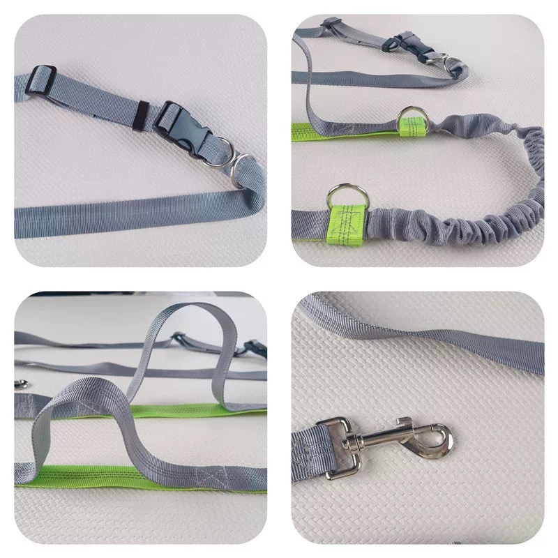 Reflecterende bungee-hondenrie - Bungee Dog Leash Shock Absorbing recensie en prijs