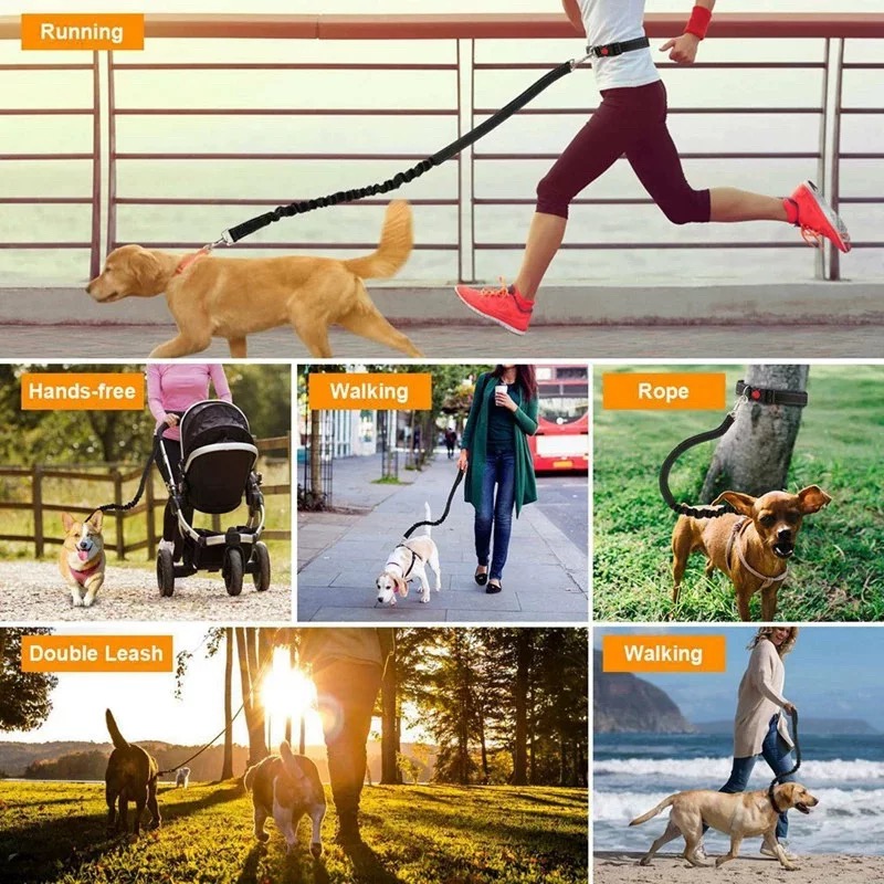 Reflecterende bungee-hondenrie - Bungee Dog Leash Shock Absorbing recensie en prijs