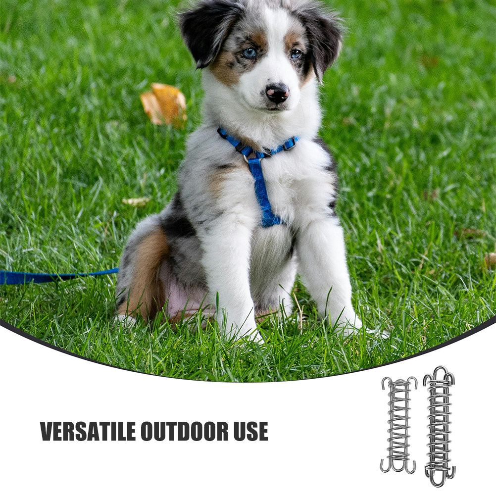 2 stuks hondenriem met schokab - Bungee Dog Leash Shock Absorbing recensie en prijs