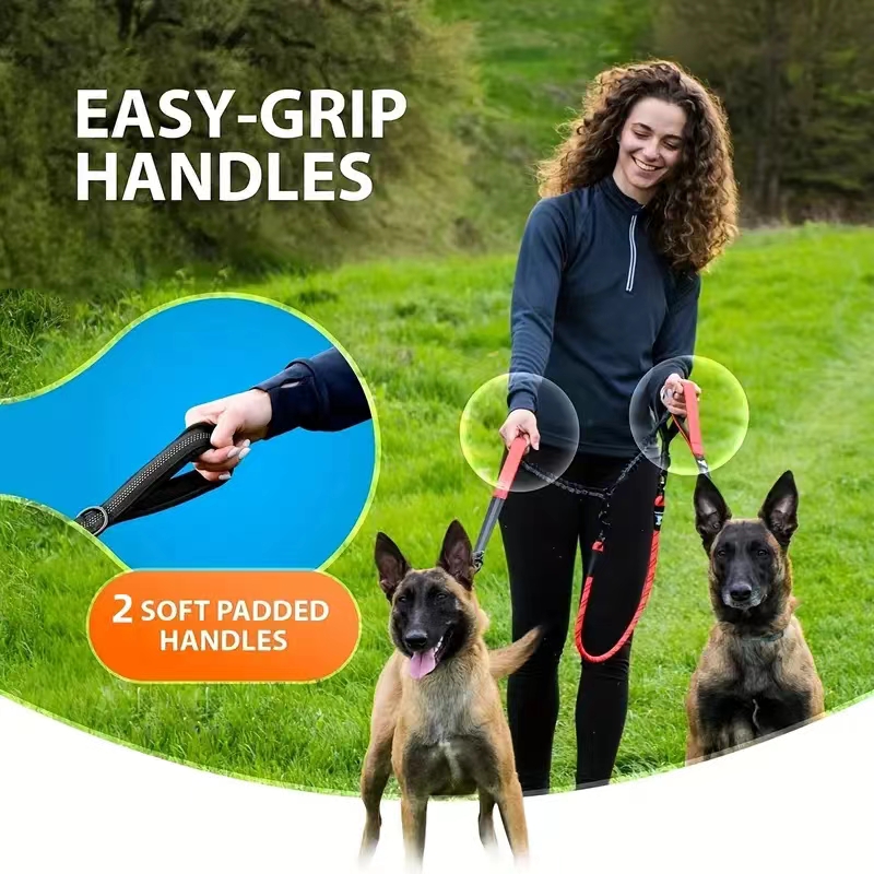 Dubbele hondenriemkoppeling -  - Bungee Dog Leash Shock Absorbing recensie en prijs
