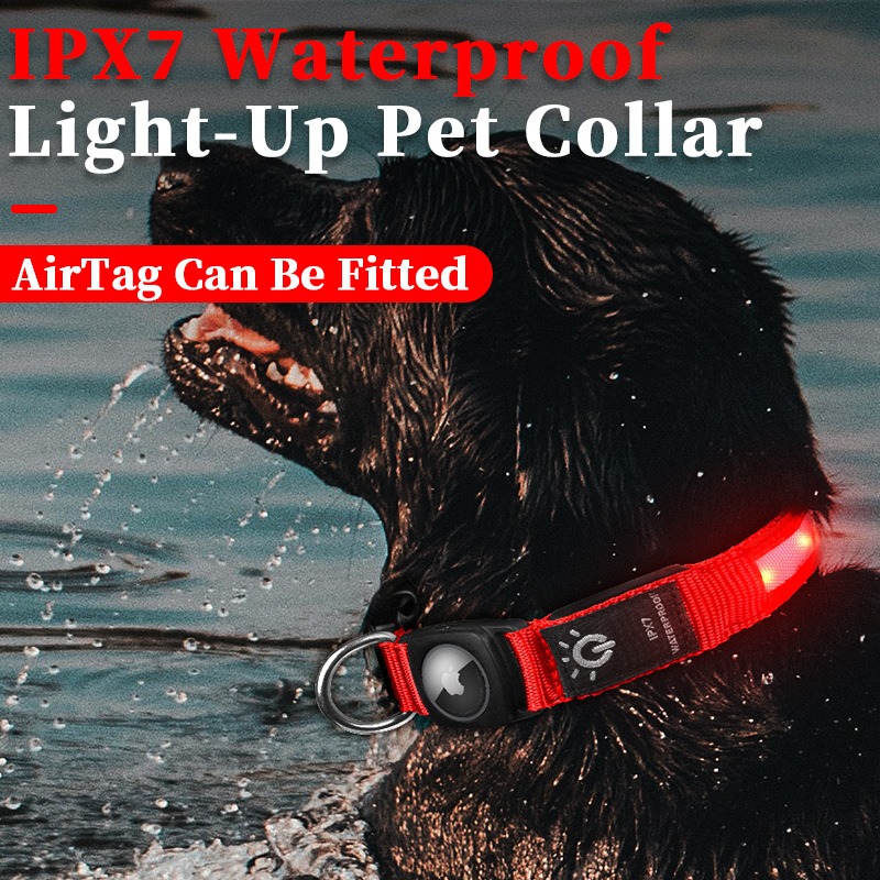 Populaire oplaadbare LED-honde - Led Dog Collar Glowing Rechargeable Usb recensie en prijs