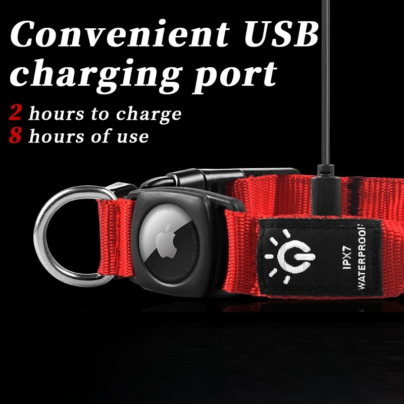 Populaire oplaadbare LED-honde - Led Dog Collar Glowing Rechargeable Usb recensie en prijs