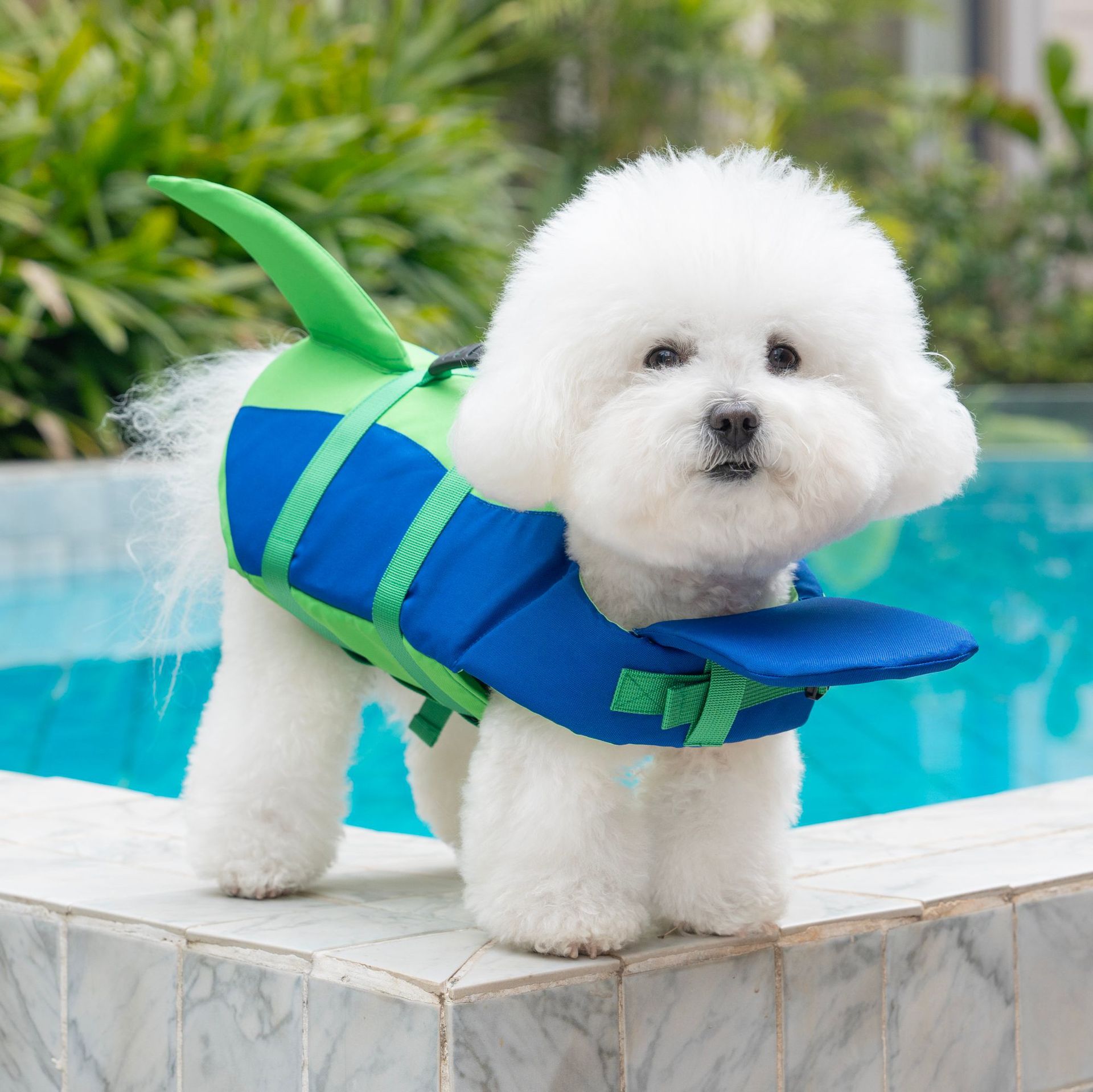 Schattig haaienvormig hondenre - Dog Life Jacket Vest Buoyancy Handle recensie en prijs