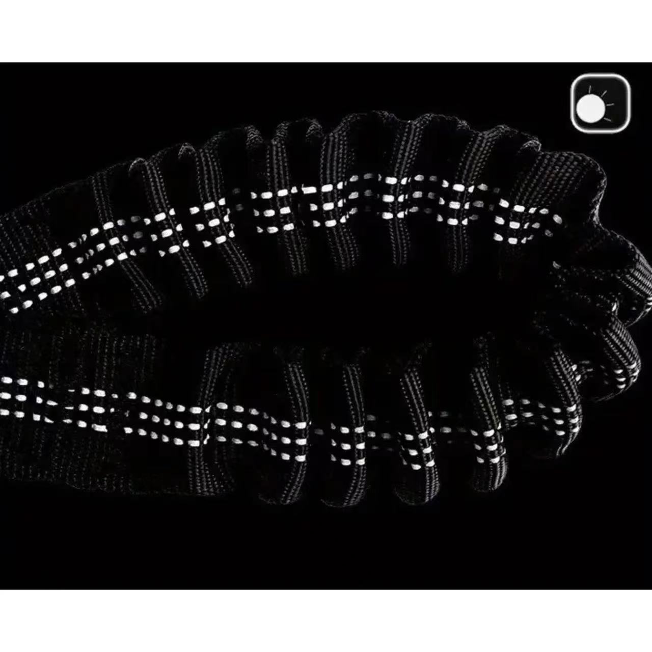 Dubbele hondenriemkoppeling -  - Bungee Dog Leash Shock Absorbing recensie en prijs