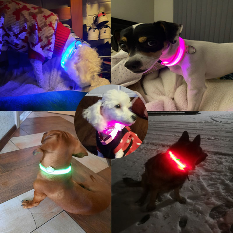 Kleurrijke Usb Oplaadbare Hond - Led Dog Collar Glowing Rechargeable Usb recensie en prijs