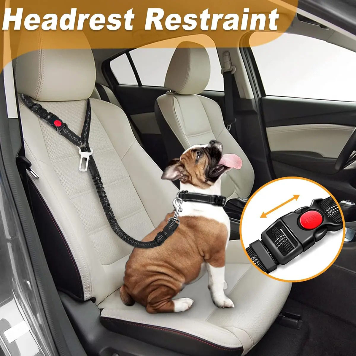 2-in-1 honden veiligheidsgorde - Bungee Dog Leash Shock Absorbing recensie en prijs