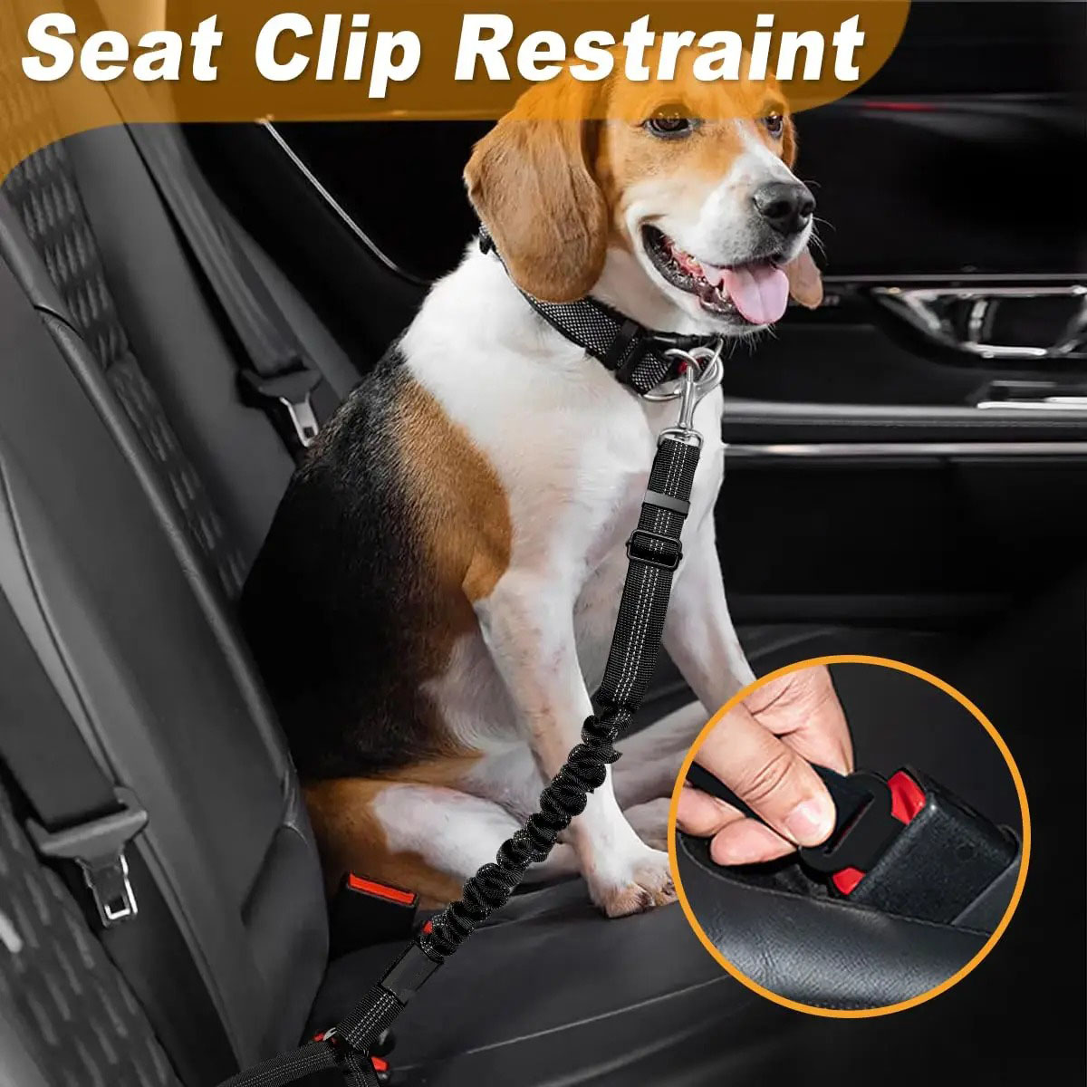 2-in-1 honden veiligheidsgorde - Bungee Dog Leash Shock Absorbing recensie en prijs