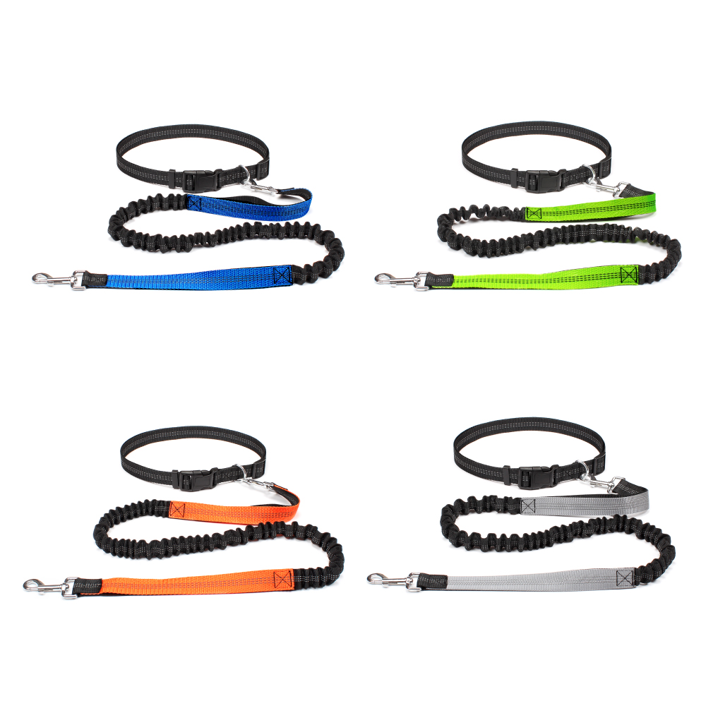Handvrije hondenriem voor wand - Hands Free Dog Running Leash Waist Belt recensie en prijs