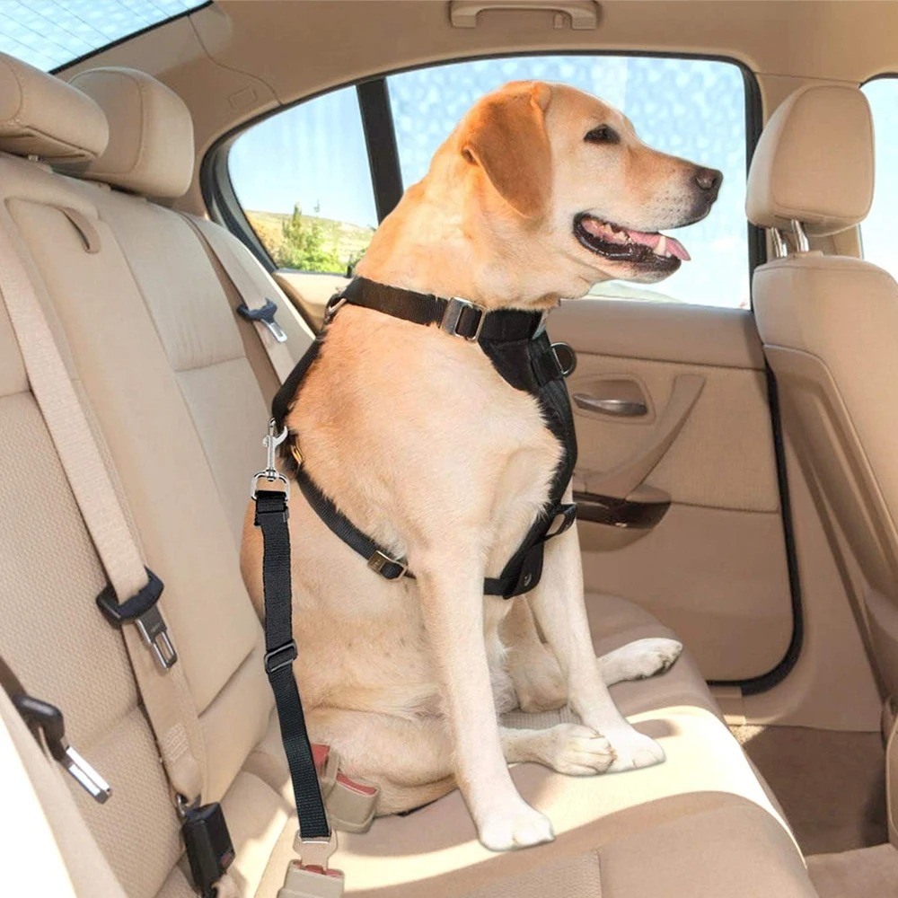 1 stuks verstelbare nylon hond - Dog Seat Belt Harness Safety Tether recensie en prijs