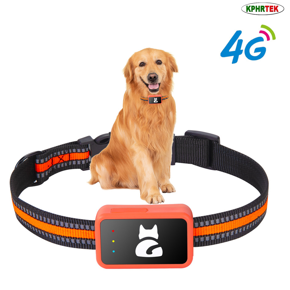 G68P 4G GPS-tracker voor honde - Pet Activity Health Monitor Tracker recensie en prijs