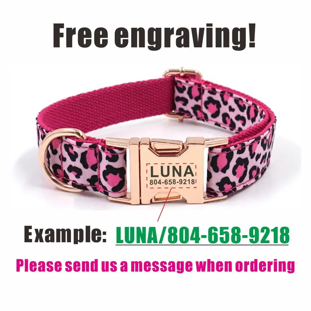 Gepersonaliseerde halsband Aan - Reflective Dog Collar Personalized Engraved recensie en prijs
