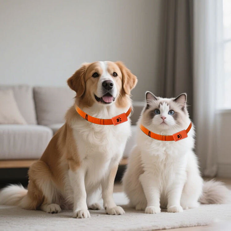 Huisdier Activiteitenmonitor T - Pet Activity Health Monitor Tracker recensie en prijs