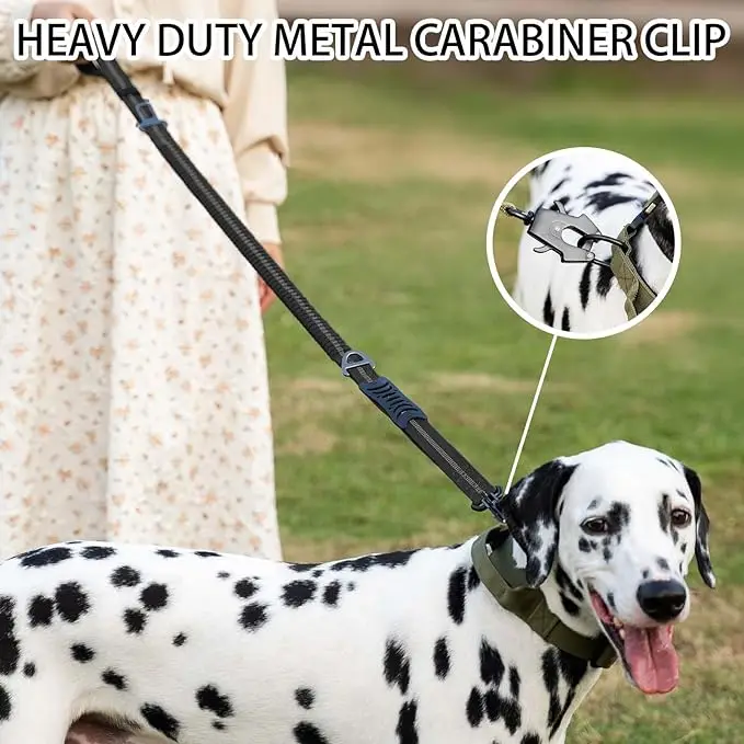 Reflecterende, schokabsorberen - Bungee Dog Leash Shock Absorbing recensie en prijs