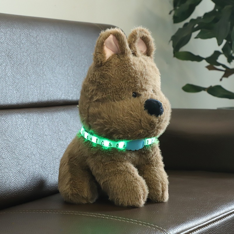 ZONGYAN LED Huisdier Lichtgeve - Led Dog Collar Glowing Rechargeable Usb recensie en prijs