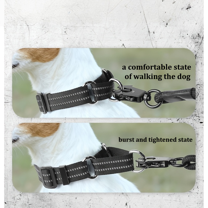 Gepersonaliseerde reflecterend - Reflective Dog Collar Personalized Engraved recensie en prijs