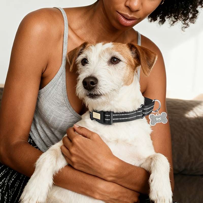 Gepersonaliseerde reflecterend - Reflective Dog Collar Personalized Engraved recensie en prijs