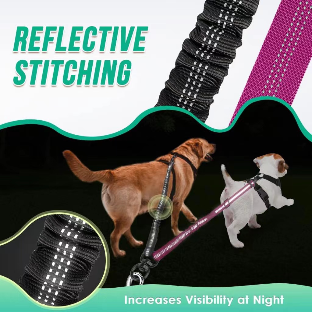 Twee Honden Lood, 2 In 1 Verbe - Bungee Dog Leash Shock Absorbing recensie en prijs