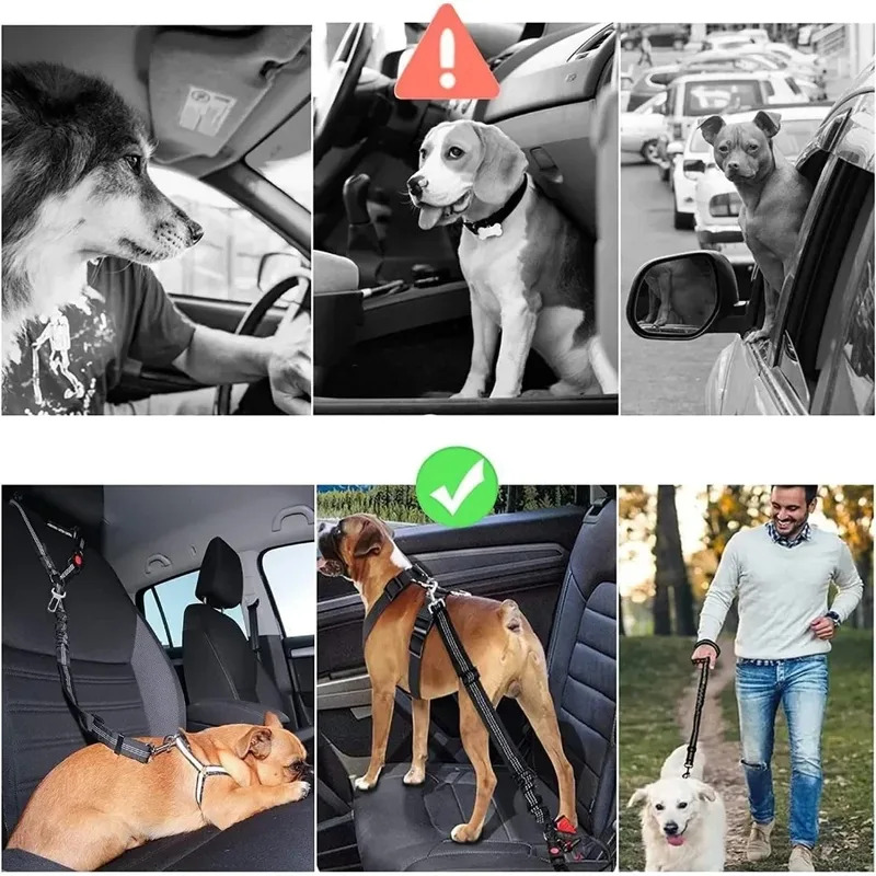 2-in-1 Verstelbare Reflecteren - Dog Seat Belt Harness Safety Tether recensie en prijs