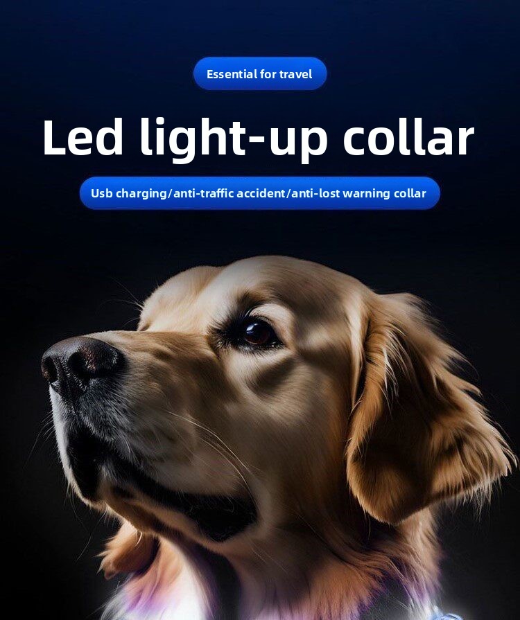 Gloeiende hondenhalsband LED-l - Led Dog Collar Glowing Rechargeable Usb recensie en prijs