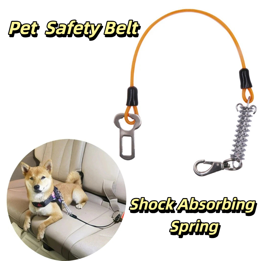 Kauwbestendige veiligheidsgord - Bungee Dog Leash Shock Absorbing recensie en prijs