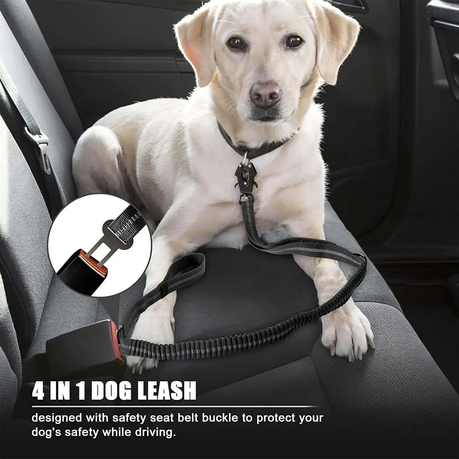 Reflecterende schokabsorberend - Bungee Dog Leash Shock Absorbing recensie en prijs