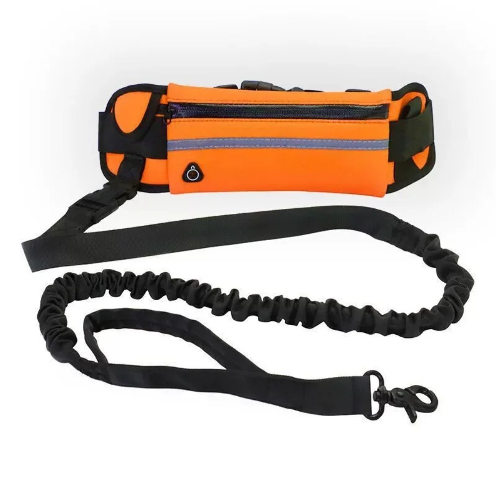 Handsfree hondenriem voor hard - Hands Free Dog Running Leash Waist Belt recensie en prijs
