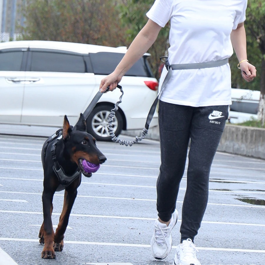 Handvrije hondenriem voor het  - Hands Free Dog Running Leash Waist Belt recensie en prijs