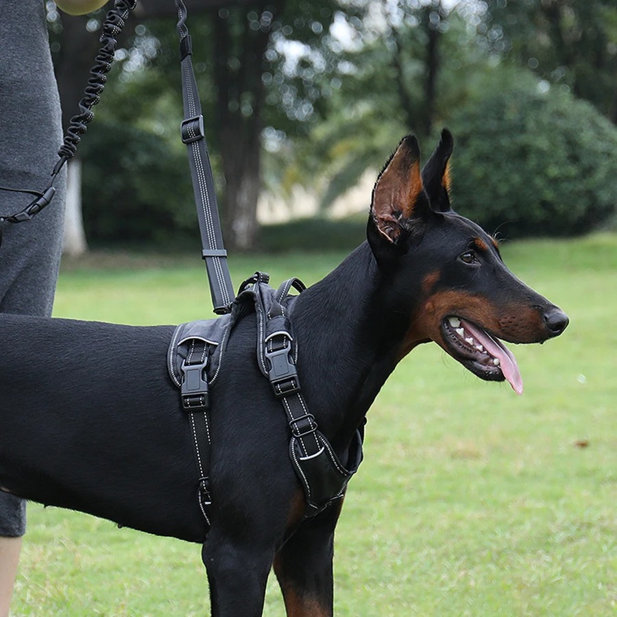 Handvrije hondenriem voor het  - Hands Free Dog Running Leash Waist Belt recensie en prijs