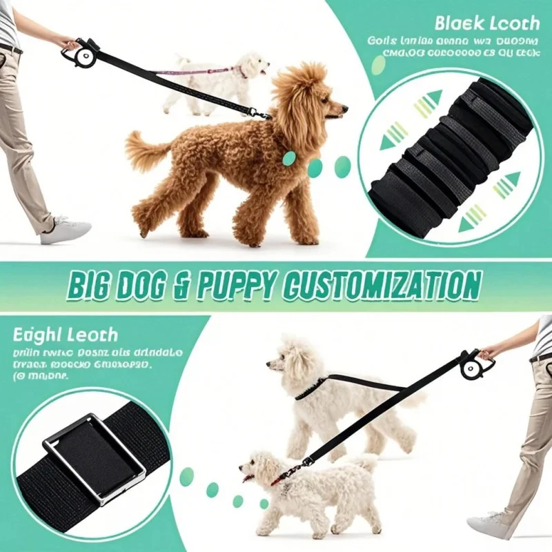 Schokabsorberende dubbele hond - Bungee Dog Leash Shock Absorbing recensie en prijs