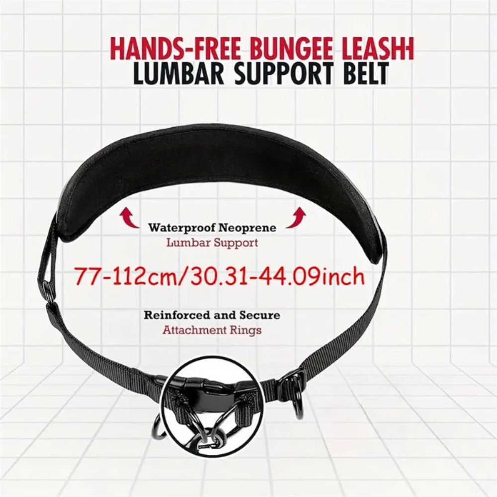 Hondenloopgordel met riem, ant - Hands Free Dog Running Leash Waist Belt recensie en prijs