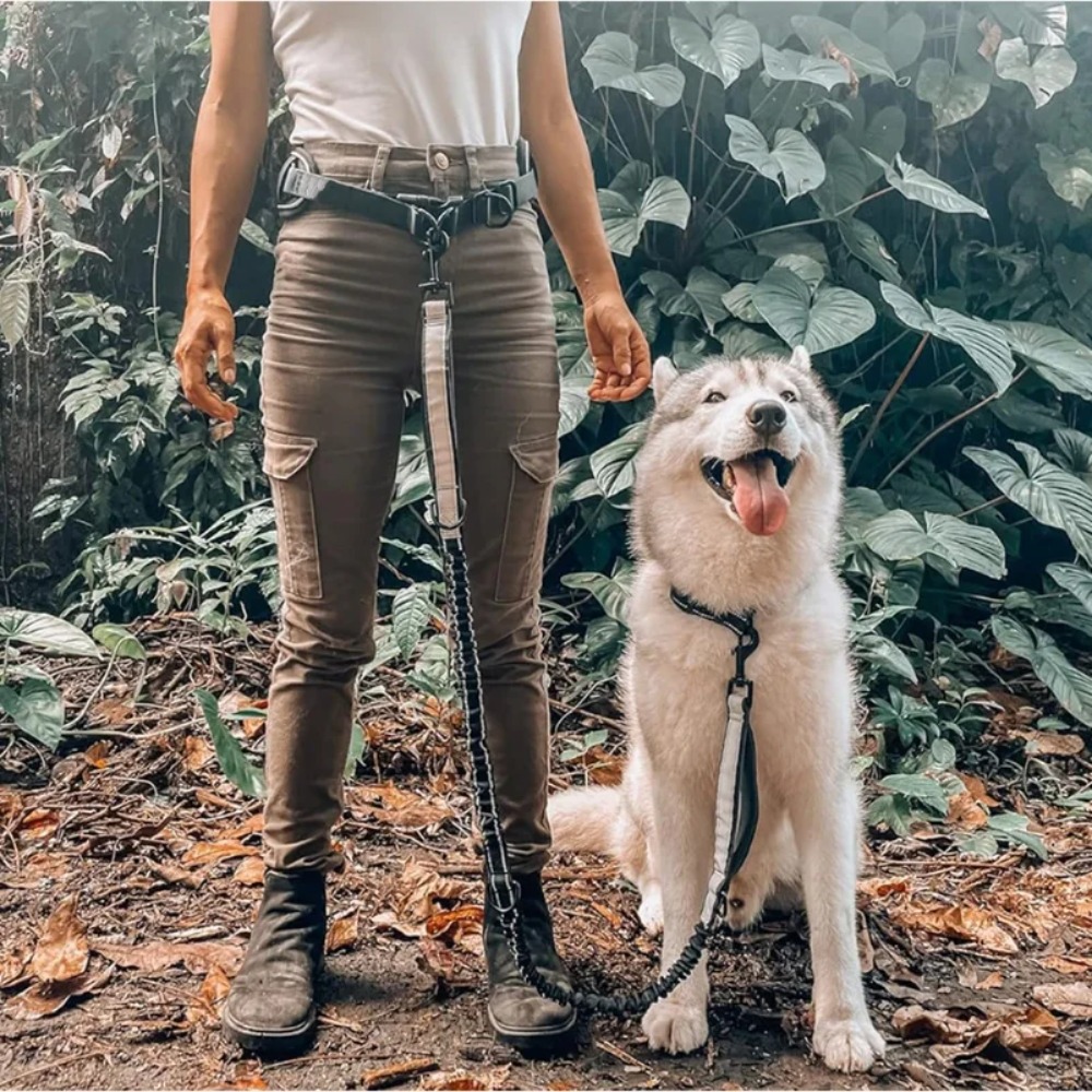 Hondenloopgordel met riem, ant - Hands Free Dog Running Leash Waist Belt recensie en prijs