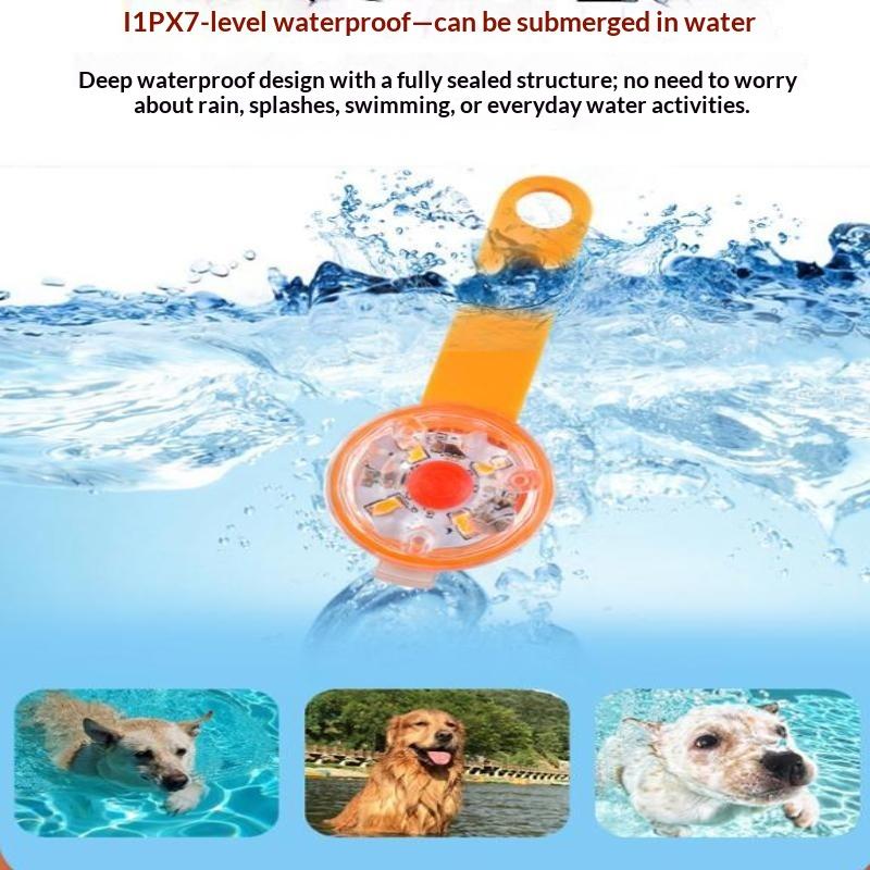 LED-halsband met hanglamp, opl - Led Dog Collar Glowing Rechargeable Usb recensie en prijs
