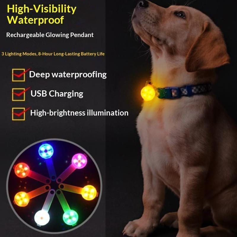LED-halsband met hanglamp, opl - Led Dog Collar Glowing Rechargeable Usb recensie en prijs