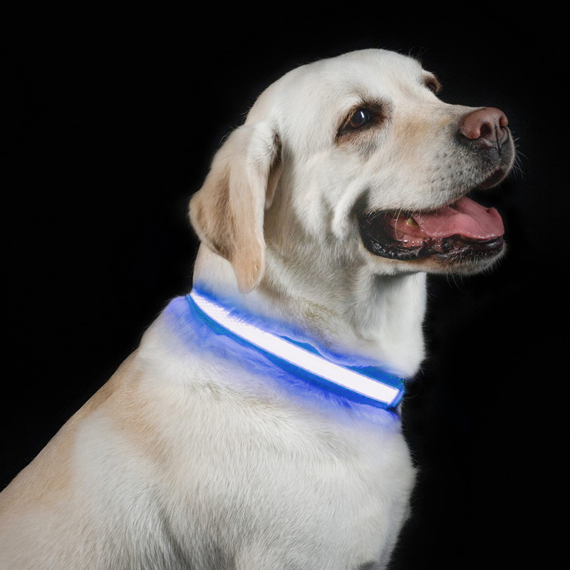 Benepaw LED-halsband USB oplaa - Led Dog Collar Glowing Rechargeable Usb recensie en prijs